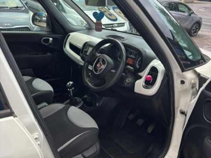 IMAGE 12